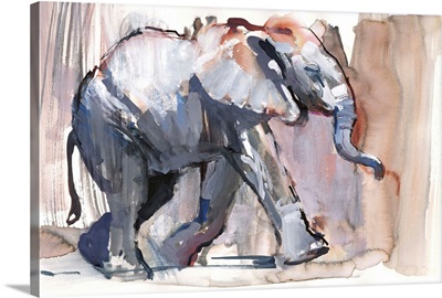 Baby elephant, 2012