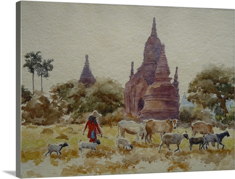 Bagan, Herding Among The Temples