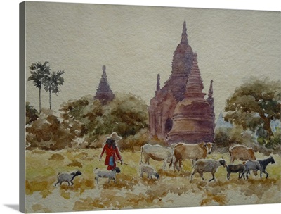 Bagan, Herding Among The Temples