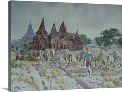 Bagan, Homewards Herding