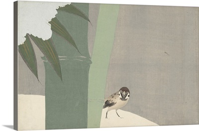 Bamboo In The Snow, 1909