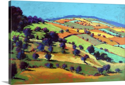 Barrowwake Looking Northwest, 2025