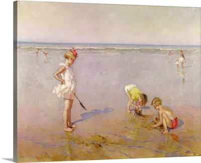 Beach Scene