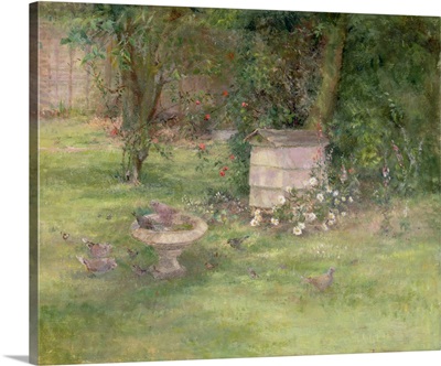 Beehive and Doves