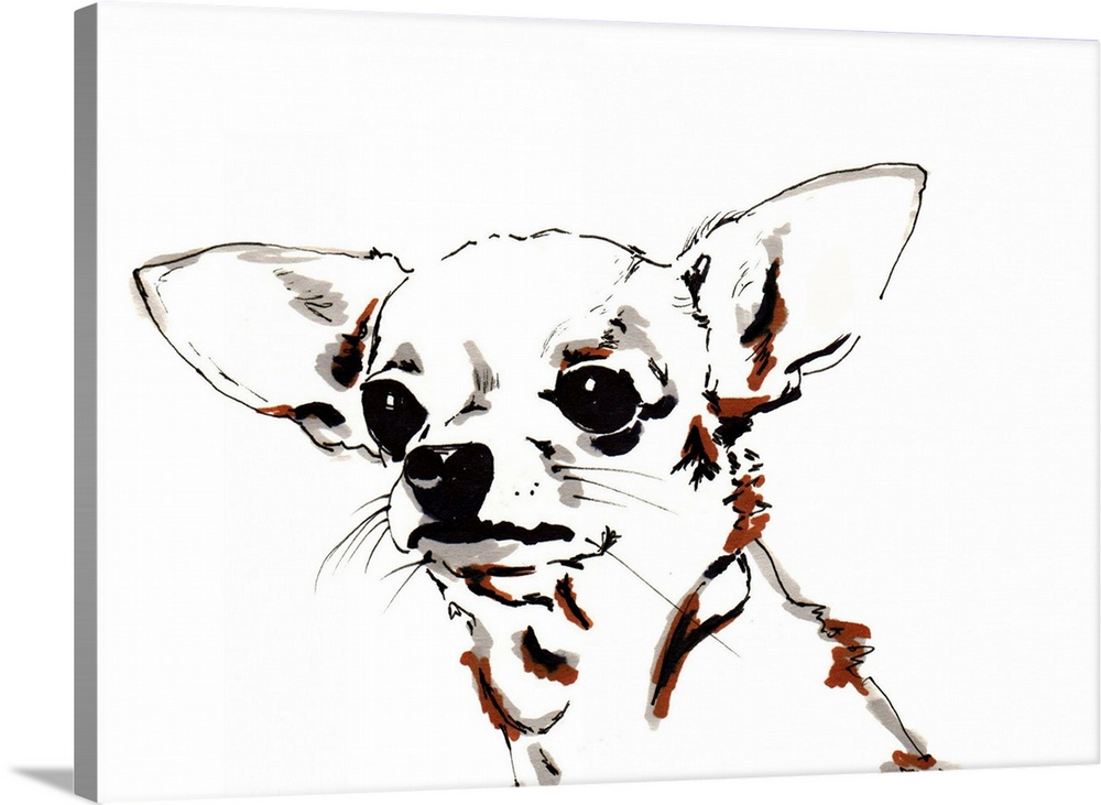 Big Ears the Chihuahua, 2012, pen, ink on paper.  By Jo Chambers.