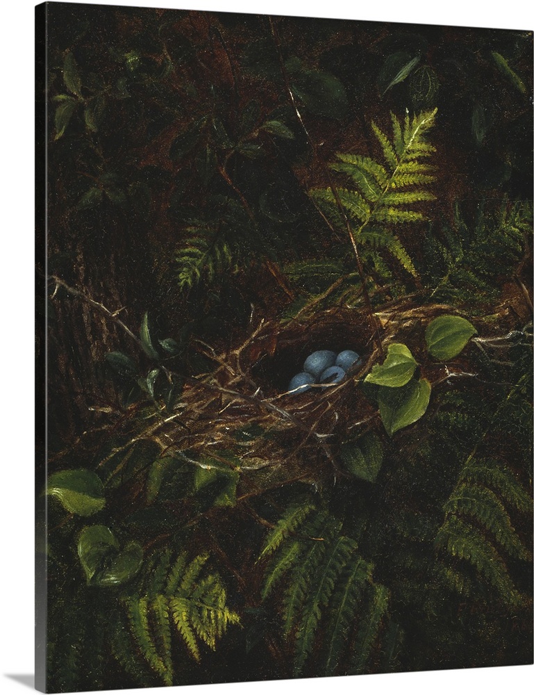 Bird's Nest and Ferns, 1863, oil on panel.