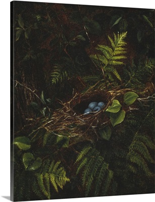 Bird's Nest and Ferns, 1863