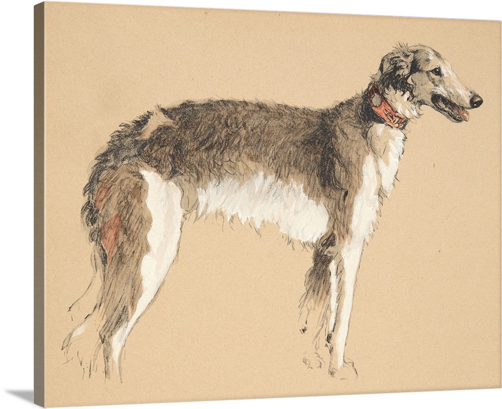 Borzoi, 1930, Illustrations from his Sketch Book used for 'Just Among Friends', later Published by Eyre and Spottiswoode L...