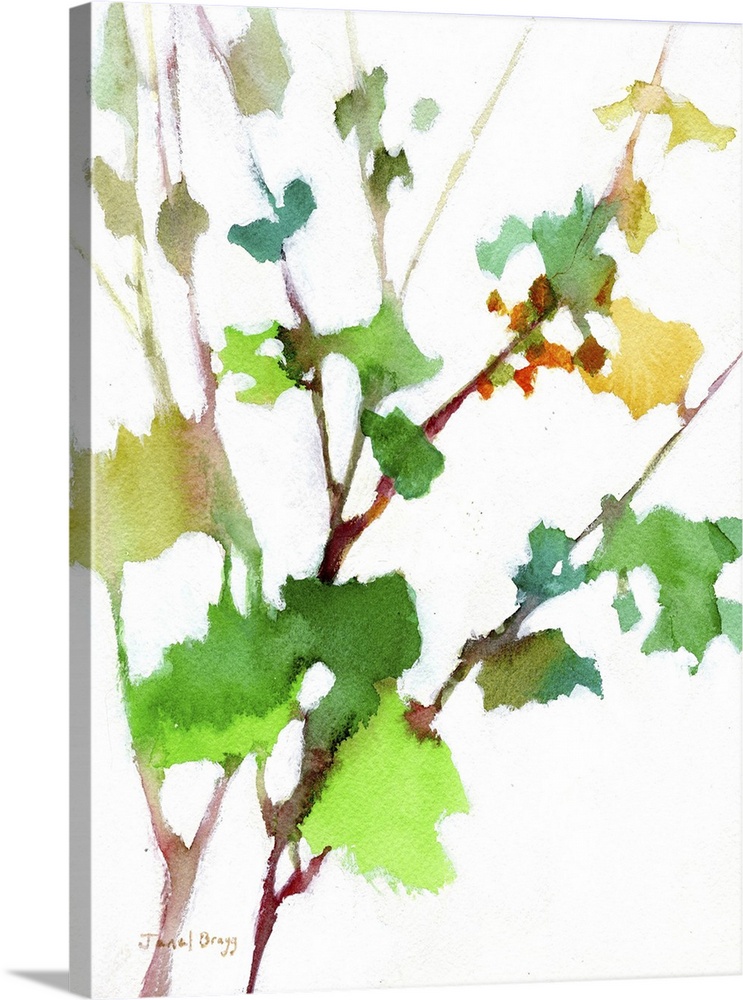 Botanical From The Courtyard, 2023