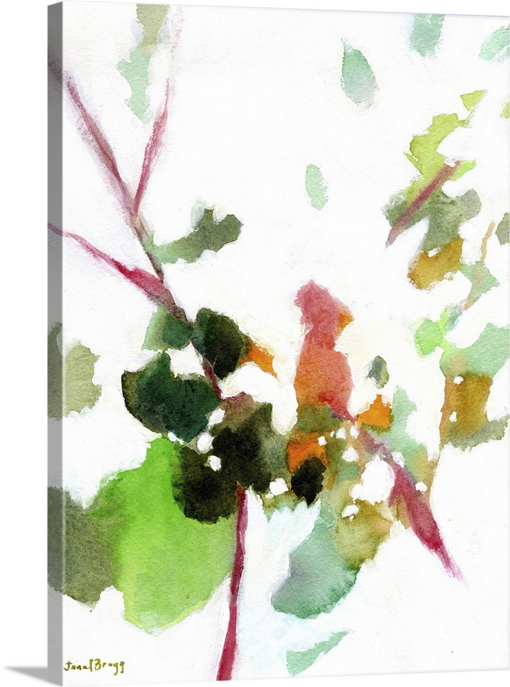 Botanical From The Courtyard, 2023