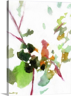 Botanical From The Courtyard, 2023