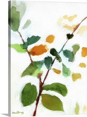 Botanical From The Courtyard, 2023