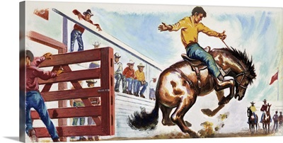 Bucking Broncho at the Rodeo