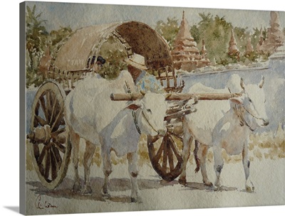 Bullock Cart Taxi Round The Temples