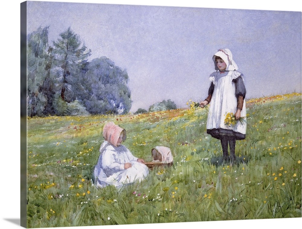 Buttercups and Daisies