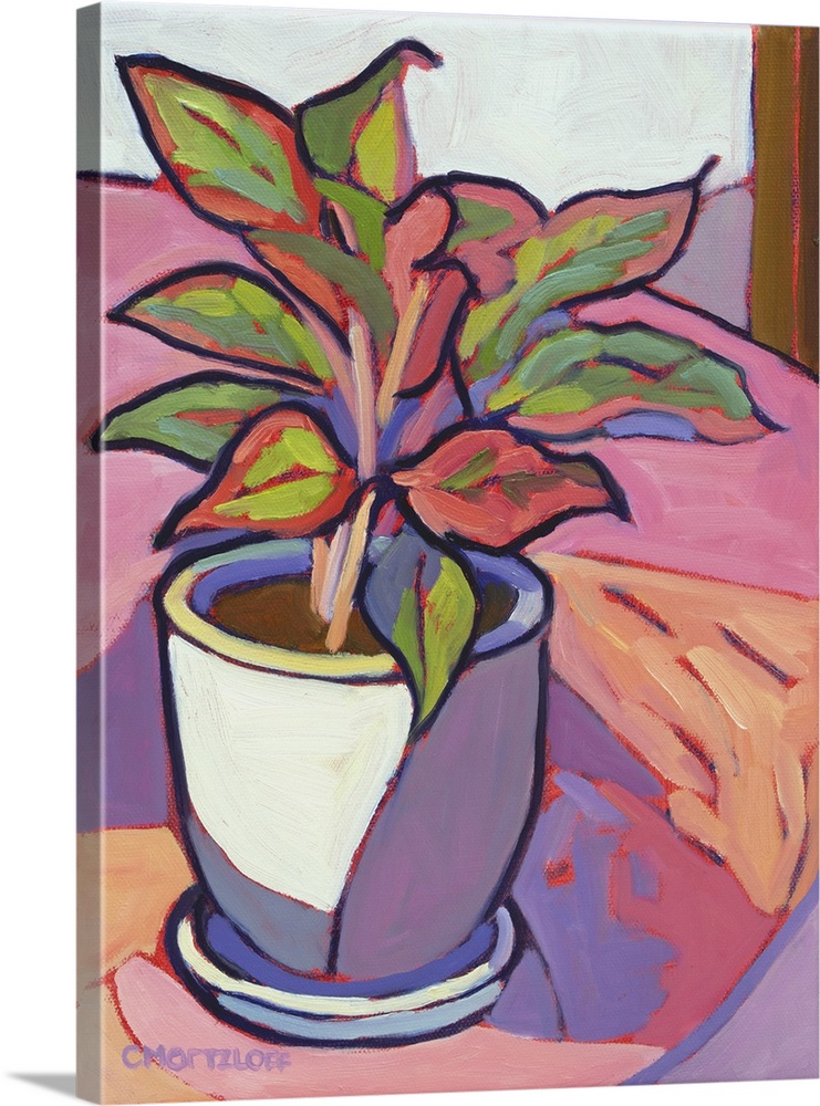 Cabana plant, 2024. (Originally an oil painting.)