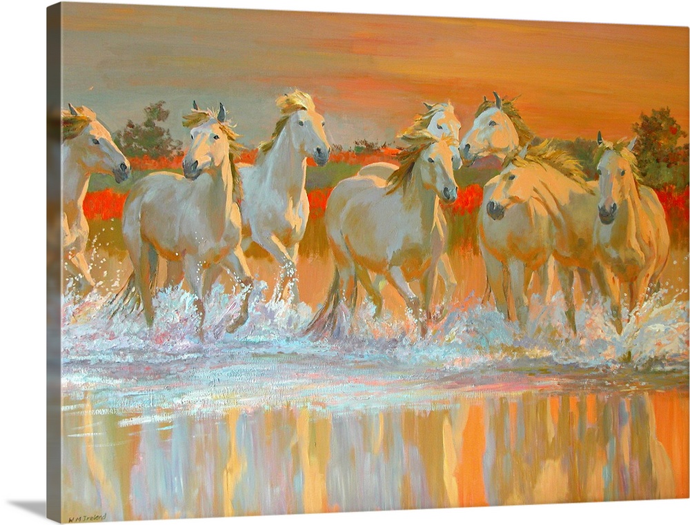 Landscape canvas wall art of wild, white horses galloping through water at sunset.