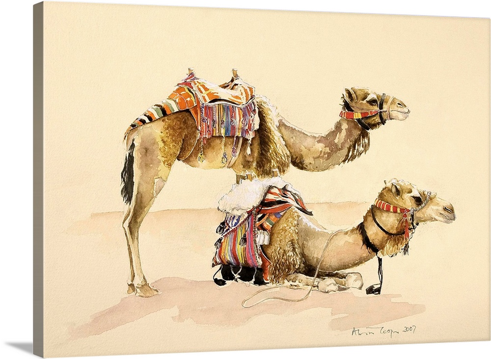 Contemporary painting of two camels resting in the desert.