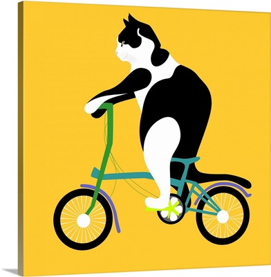Cat On A Brompton Bike