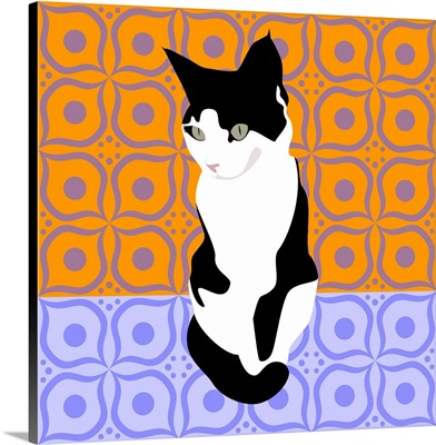 Cat On Morrocan Tiles