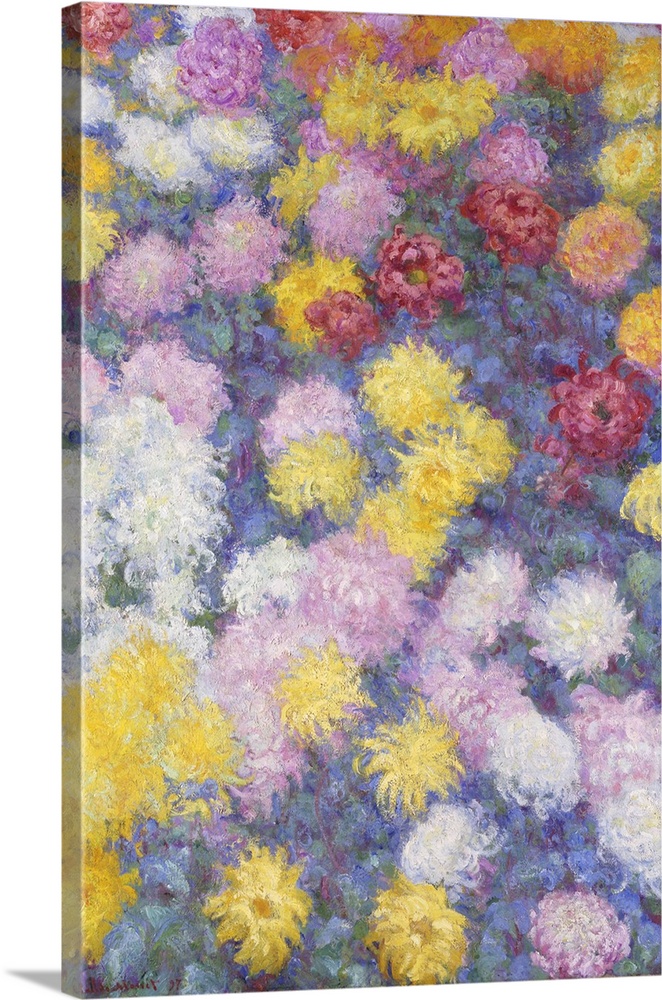 Chrysanthemums, 1897