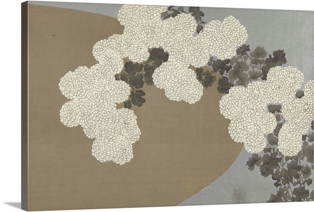 2909662 Chrysanthemums, 1909 (woodblock print) by Sekka, Kamisaka (1866-1942); 30.2x45.2 cm; Rijksmuseum, Amsterdam, The N...