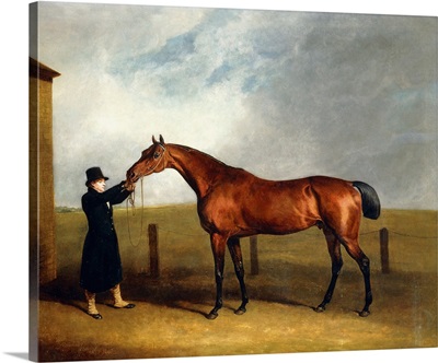 Colonel Udny's Bay Colt Truffle by Sorcerer Held by a Groom, 1815