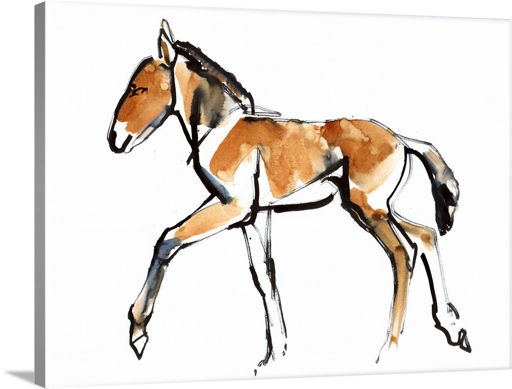 Contemporary artwork of a Mongolian Przewalski horse against a white background.