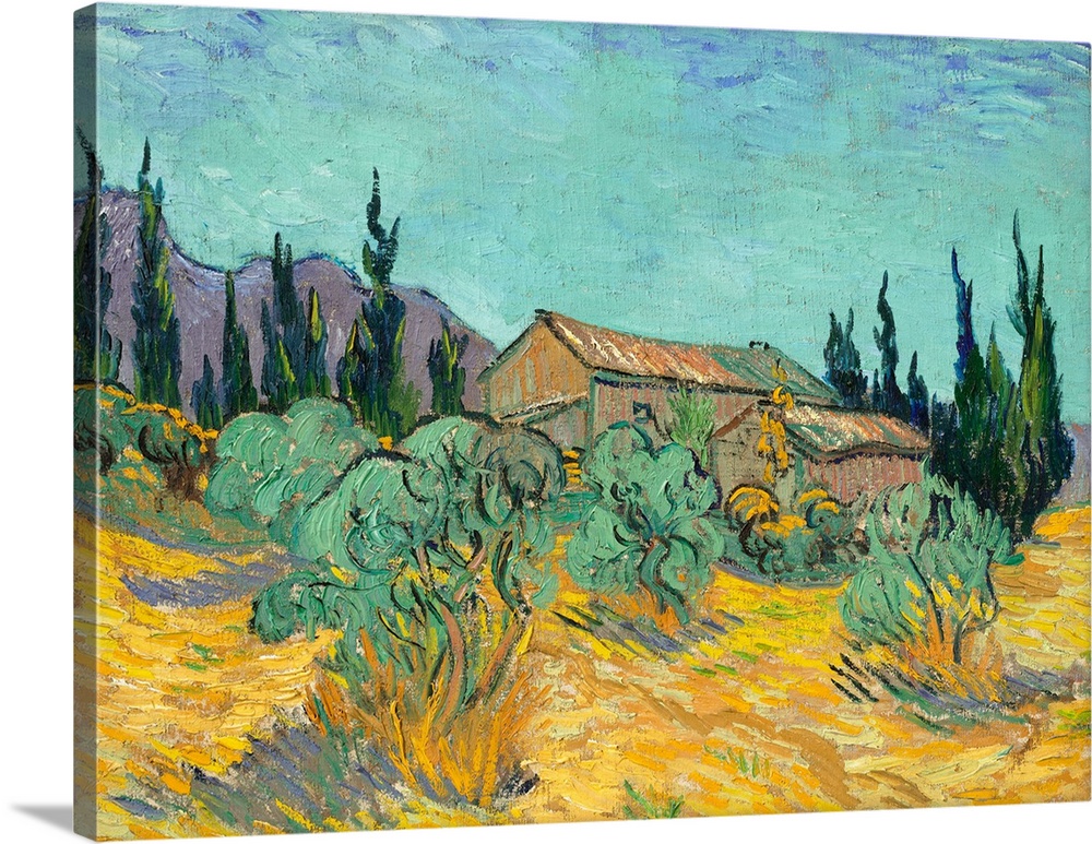 Cottages Among Olive And Cypress Trees, 1889