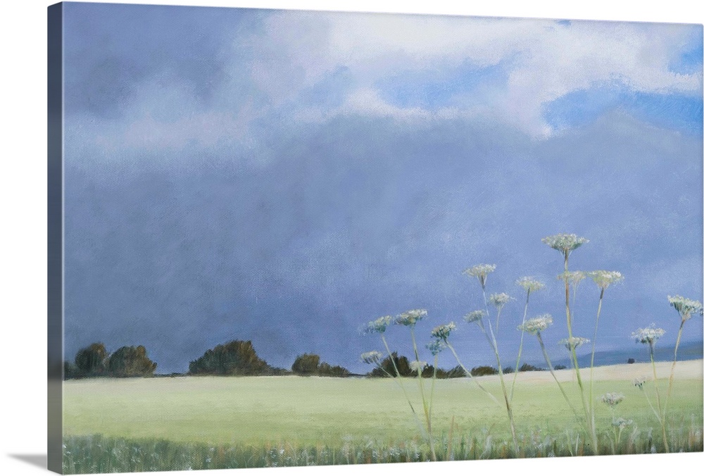 Contemporary painting of a grassy field with parsley growing under a cloudy sky.