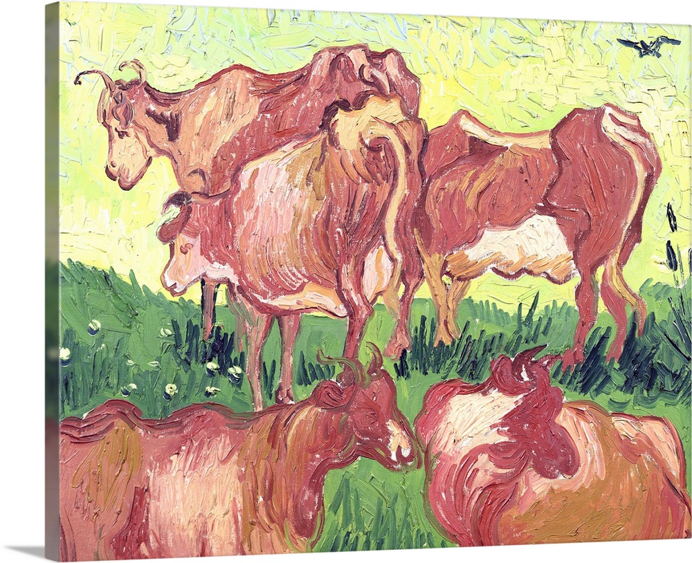 XIL16773 Cows, 1890 (oil on canvas)  by Gogh, Vincent van (1853-90); 55x65 cm; Musee des Beaux-Arts, Lille, France; Giraud...