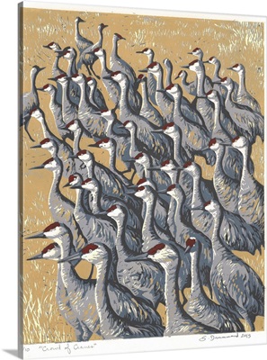 Crowd Of Cranes, 2015