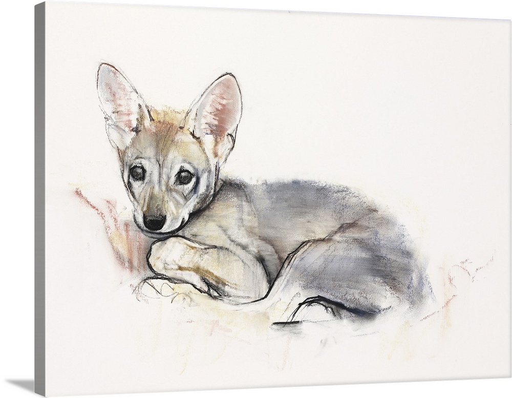 Contemporary wildlife painting of an Arabian Wolf cub.
