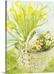 Daffodil Canvas Art Prints | Daffodil Panoramic Photos, Posters, & More ...