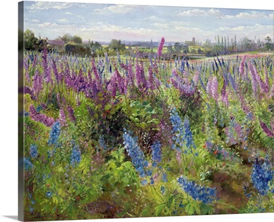 Delphiniums and Poppies, 1991