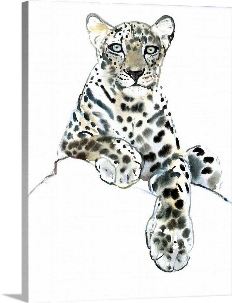 Direct (Arabian Leopard) by Mark Adlington.