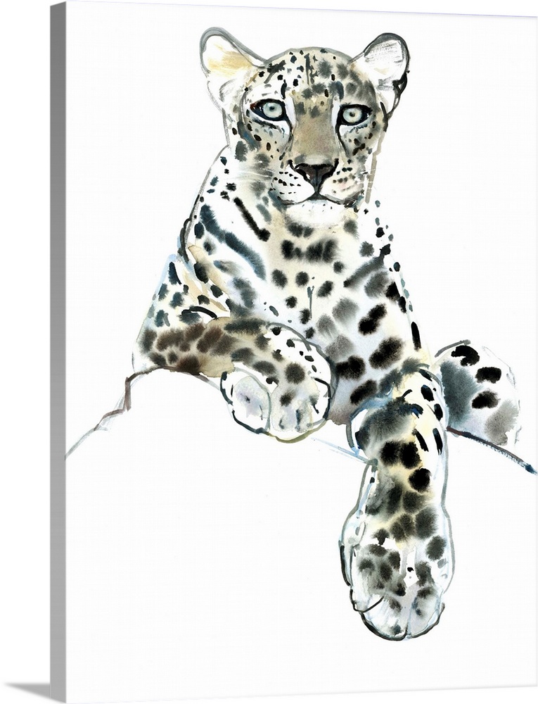 Direct, Arabian Leopard, 2015, watercolour and gouache on paper.  By Mark Adlington.