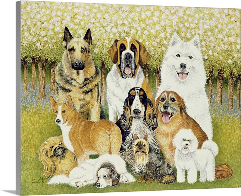 Dogs in May | Great Big Canvas