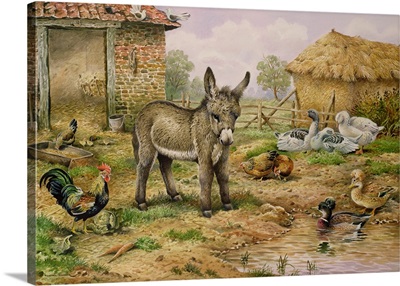 Donkey and Farmyard Fowl