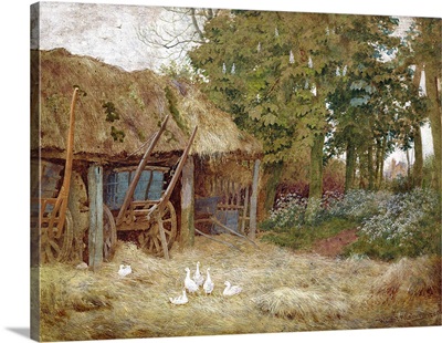 Ducks, 1880