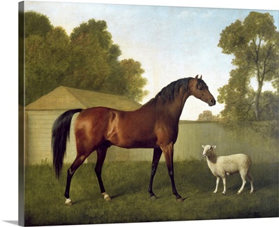 Dungannon, the property of Colonel OKelly, painted in a paddock with a sheep, 1793