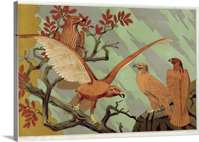 Eagles, From 'L'Animal Dans La Decoration' By Maurice Pillard Verneuil, Pub 1897