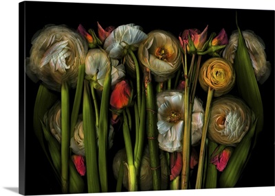 Earthart Flora No.3, 2024