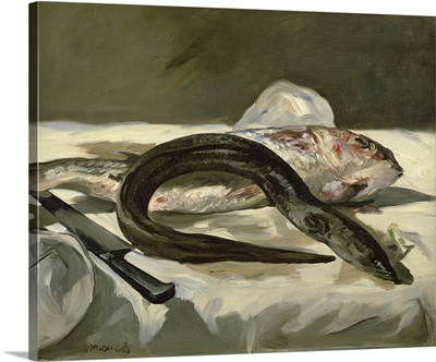 Eel and Red Mullet, 1864