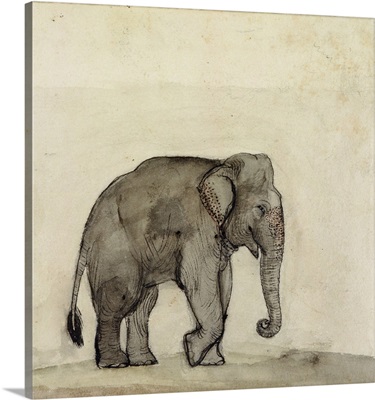 Elephant, by Gungaram Tambat, c.1790