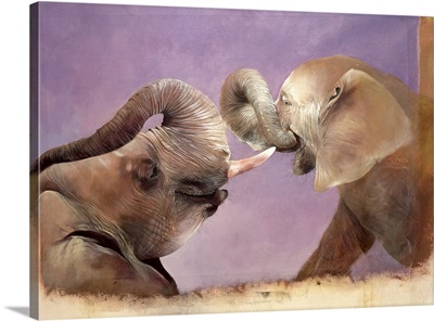 Elephants At Play, 2001