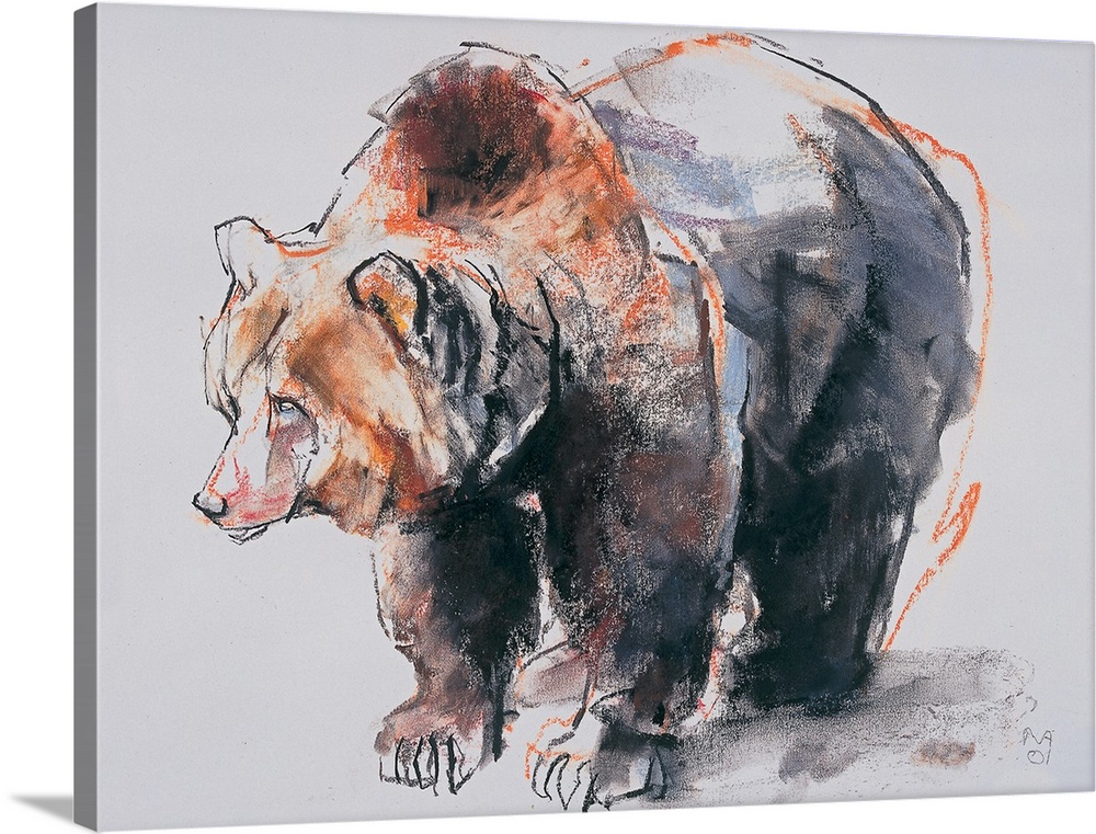 Charcoal sketch drawing of a giant brown bear on all four legs.