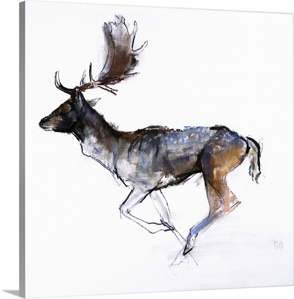 Contemporary artwork of a fallow deer running against a white background.