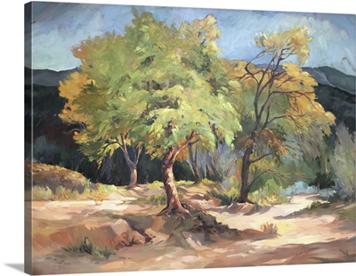 Fall On The Rio Grande Beto Junction, 2001