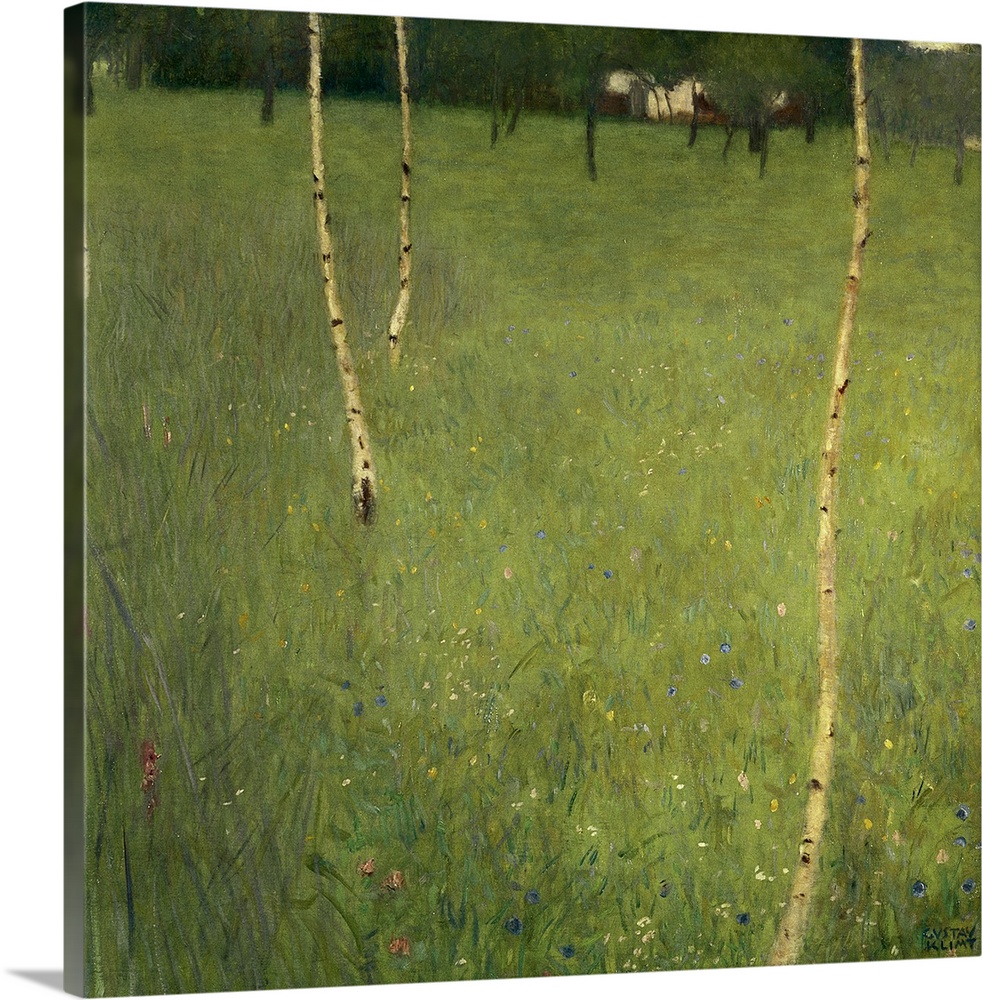 Farmhouse with Birch Trees, 1900 (oil on canvas)  by Klimt, Gustav (1862-1918); Private Collection; this work was in the c...